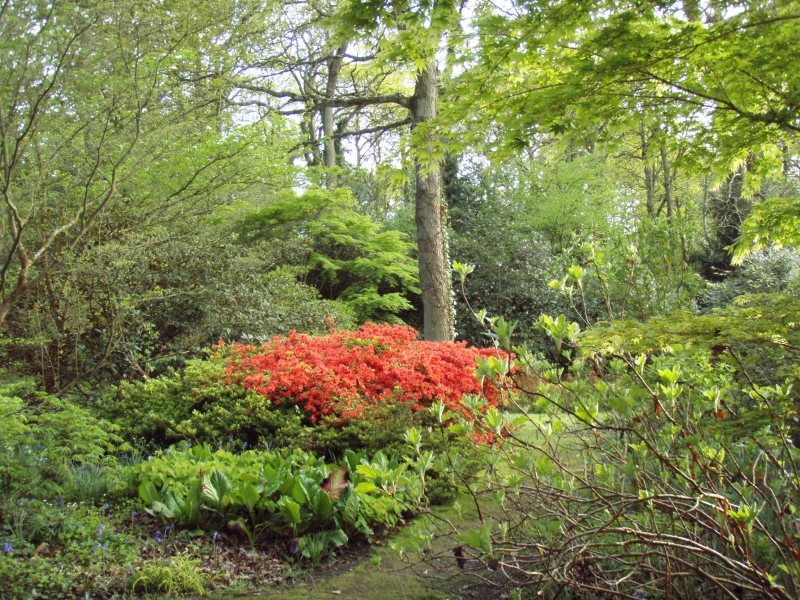 Spinners Garden